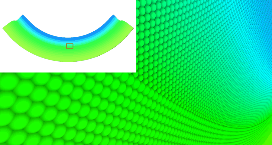 Zoomed-in views of a jammed bilayer-stabilized emulsion network