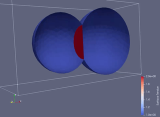 Bulk-boundary coupling